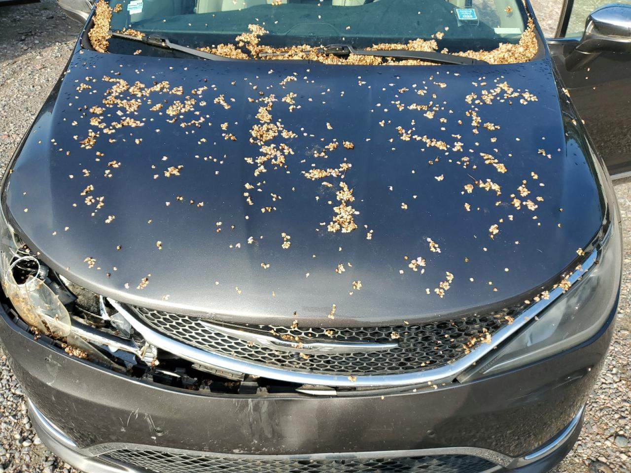 2018 Chrysler Pacifica Limited VIN: 2C4RC1GG9JR106655 Lot: 63974175