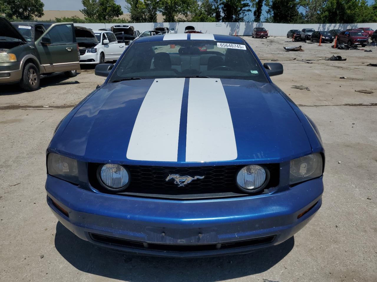 2008 Ford Mustang VIN: 1ZVHT80N785113251 Lot: 65640745