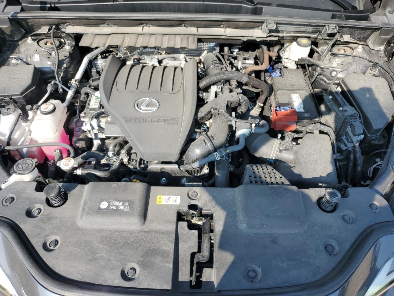 2022 Lexus Nx 350 VIN: 2T2GGCEZ6NC004338 Lot: 61669895