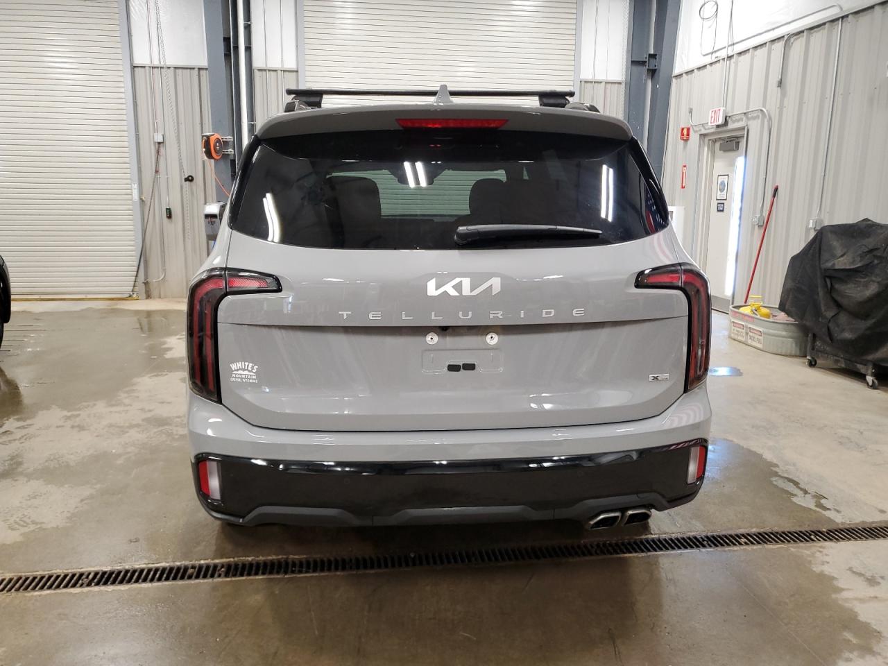 2024 Kia Telluride Sx VIN: 5XYP5DGC9RG560534 Lot: 63625915