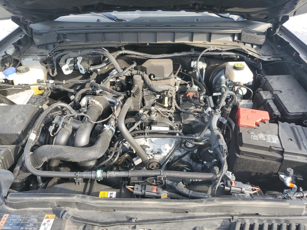 2024 Ford Bronco Big Bend VIN: 1FMDE7BH9RLB17100 Lot: 65016645