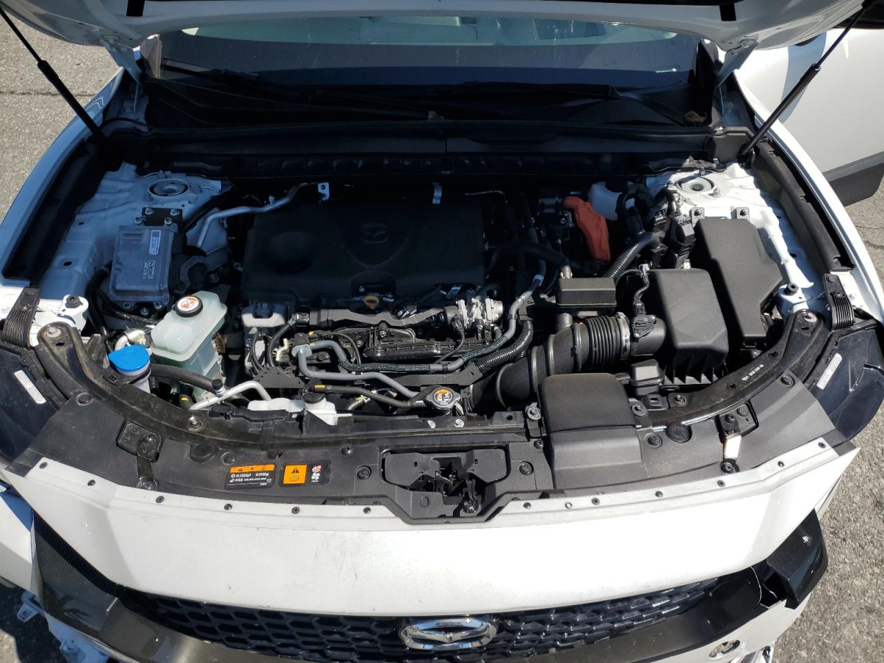 2025 Mazda Cx-50 Premium Plus VIN: 7MMVAAEW0SN101695 Lot: 65722265