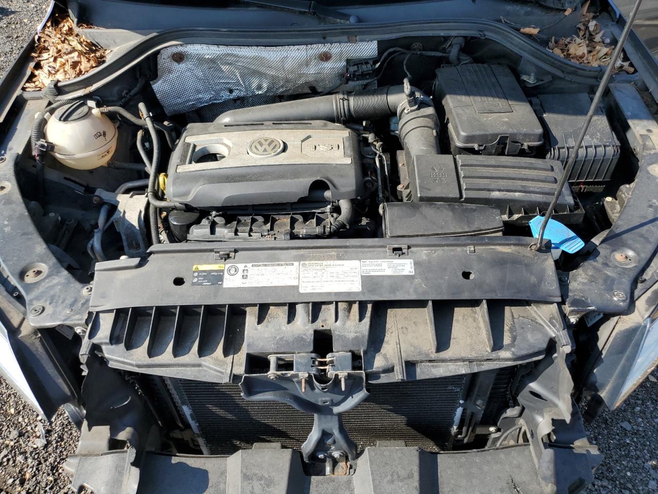 2014 Volkswagen Tiguan S VIN: WVGCV3AX7EW620923 Lot: 64541565