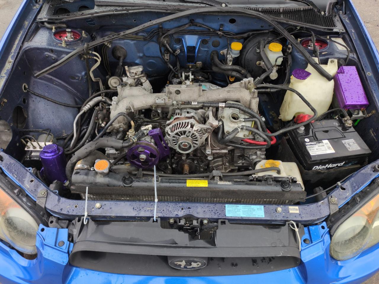 2005 Subaru Impreza Wrx Sti VIN: JF1GD70685L503853 Lot: 64014715