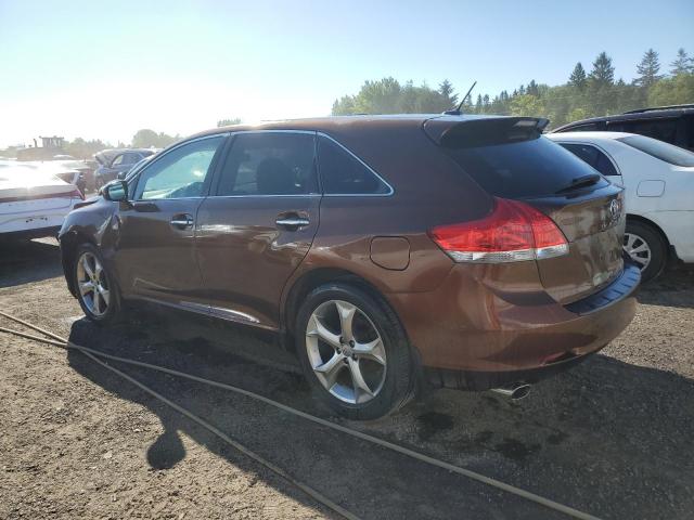 2010 TOYOTA VENZA   