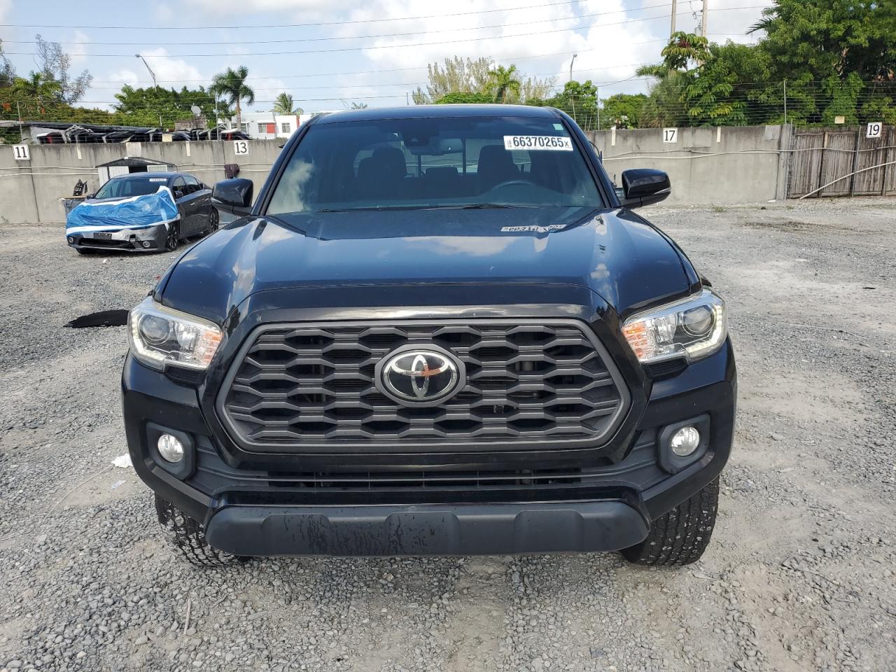 2020 Toyota Tacoma Double Cab VIN: 3TMCZ5AN9LM343496 Lot: 66370265