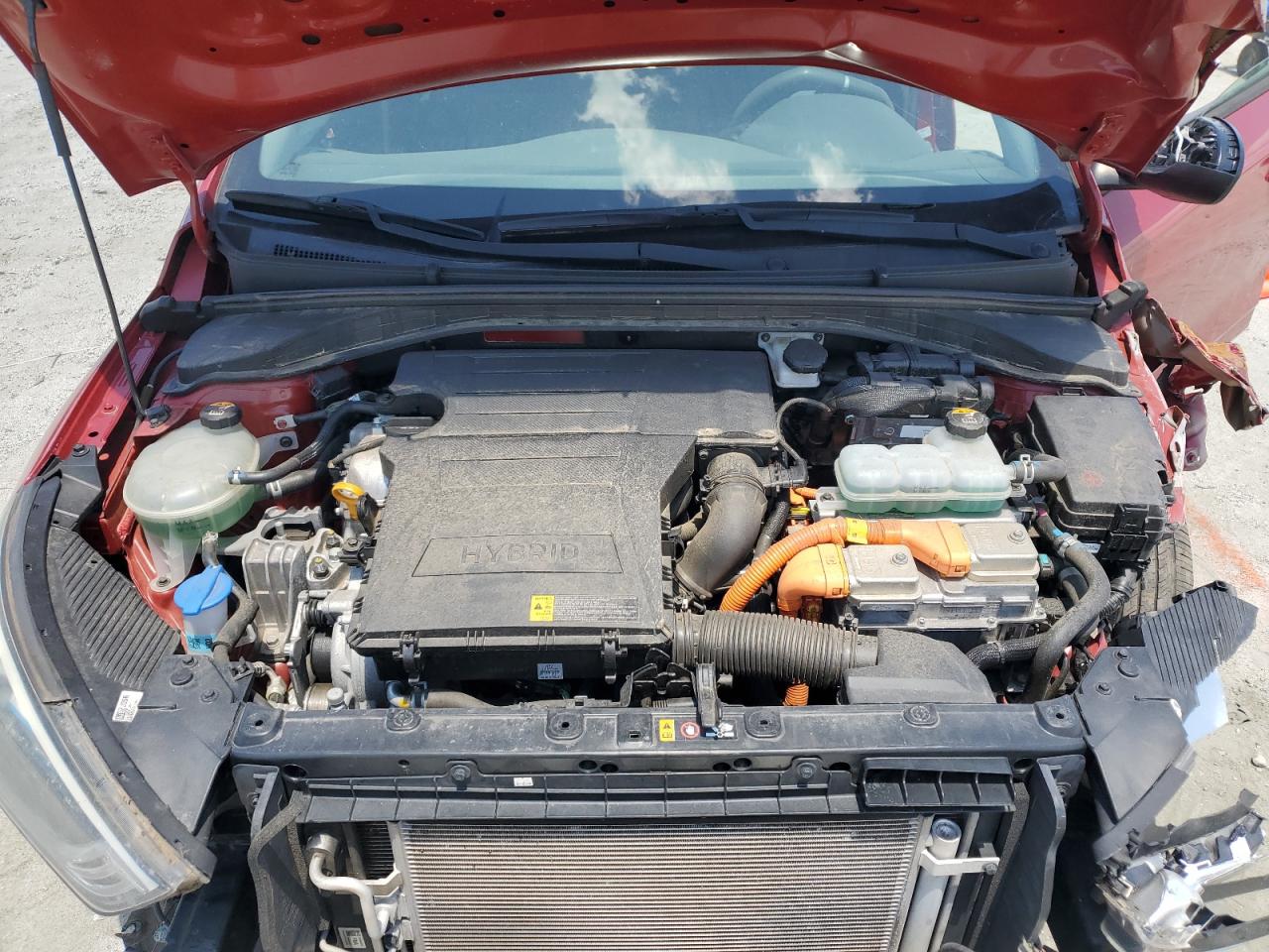 2019 Hyundai Ioniq Blue VIN: KMHC65LC4KU178595 Lot: 64305025