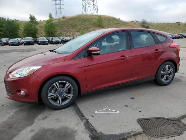 Hatchbacks FORD FOCUS 2014 Maroon