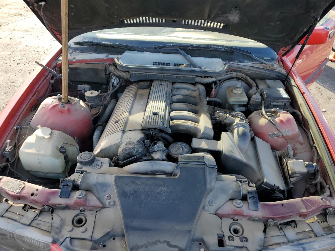 1995 BMW 325 Ic Automatic VIN: WBABJ6328SJD42878 Lot: 66754975