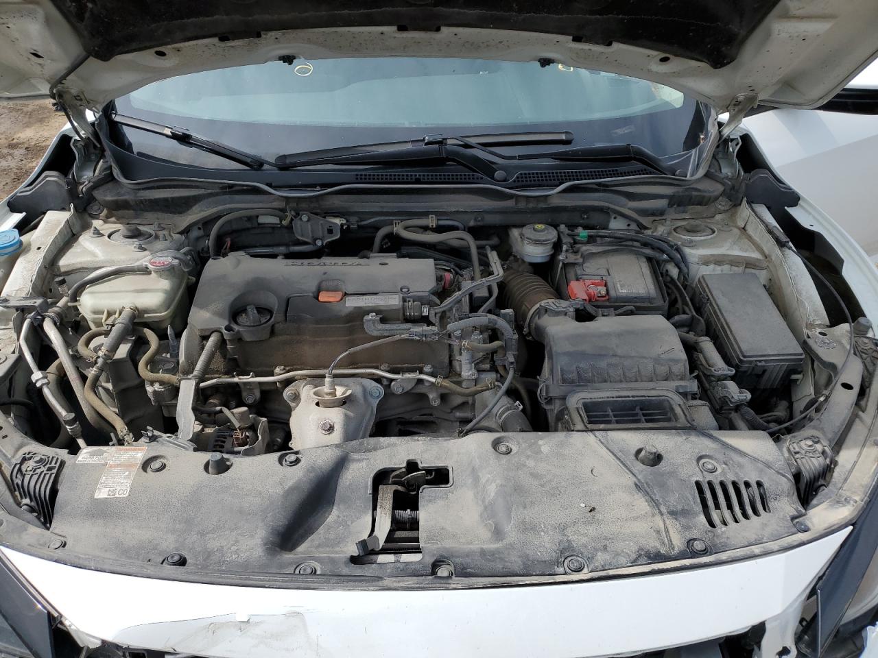 2019 Honda Civic Lx VIN: 2HGFC2F53KH003684 Lot: 65992115