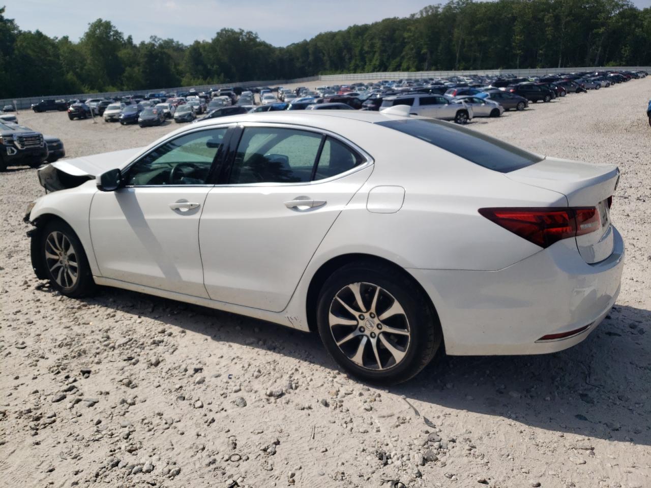 19uub1f31fa017459 19UUB1F31FA017459 2015 Acura Tlx