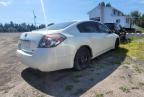 2010 NISSAN ALTIMA BASE   à vendre chez Copart ON - OTTAWA