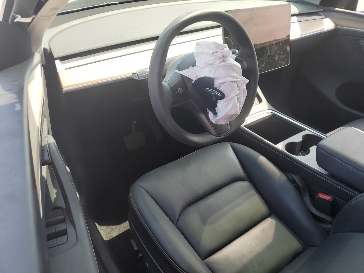 2024 Tesla Model Y VIN: 7SAYGDEE4RA244338 Lot: 66753375