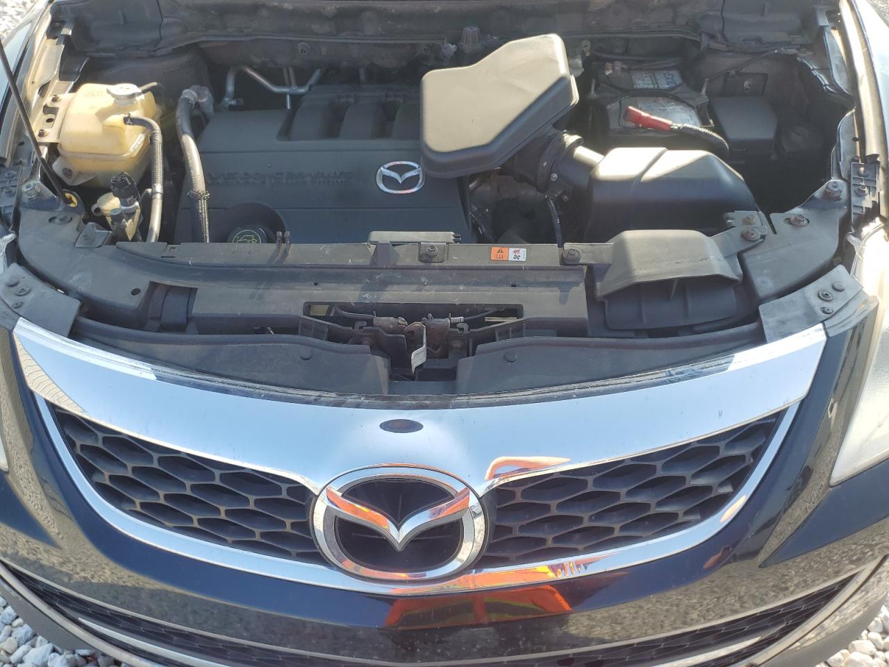 2010 Mazda Cx-9 VIN: JM3TB3MV9A0232944 Lot: 62576915