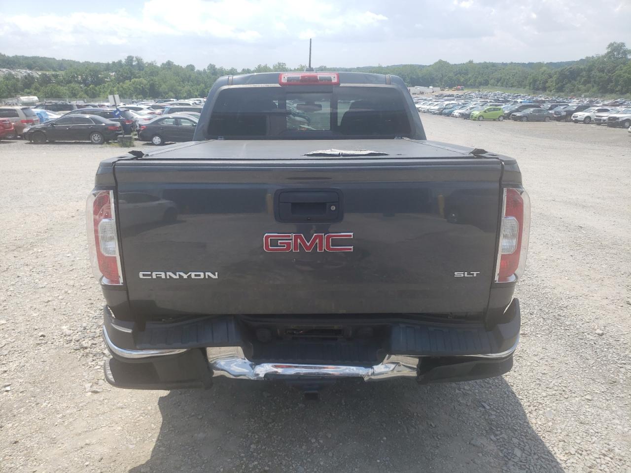 2016 GMC Canyon Slt VIN: 1GTG6DE31G1334971 Lot: 63297405