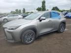 2025 LEXUS NX 450H LUXURY   for sale at Copart QC - MONTREAL