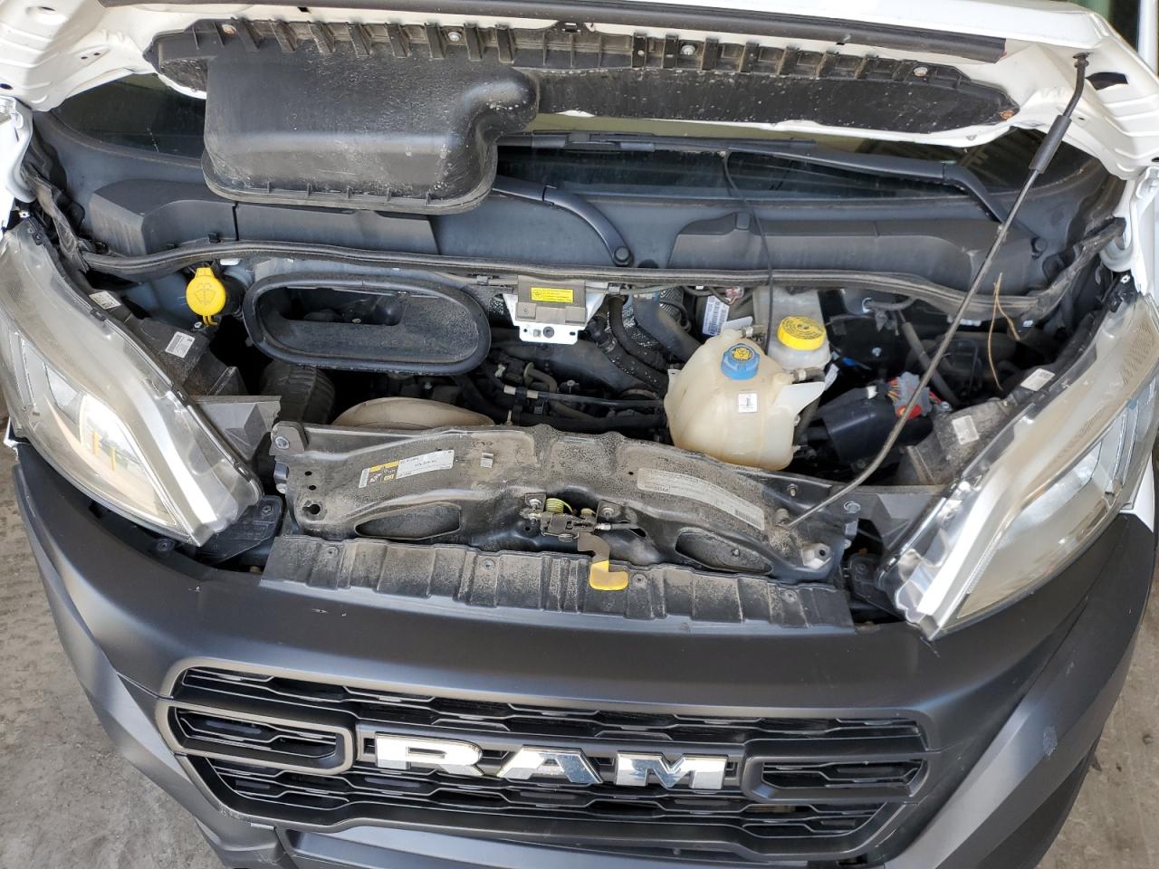 2023 Ram Promaster 2500 2500 High VIN: 3C6LRVDG1PE504895 Lot: 63405285