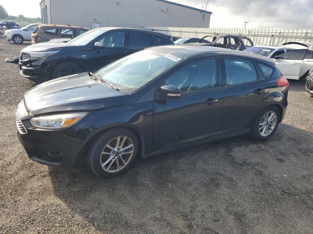 Hatchbacks FORD FOCUS 2016 Black