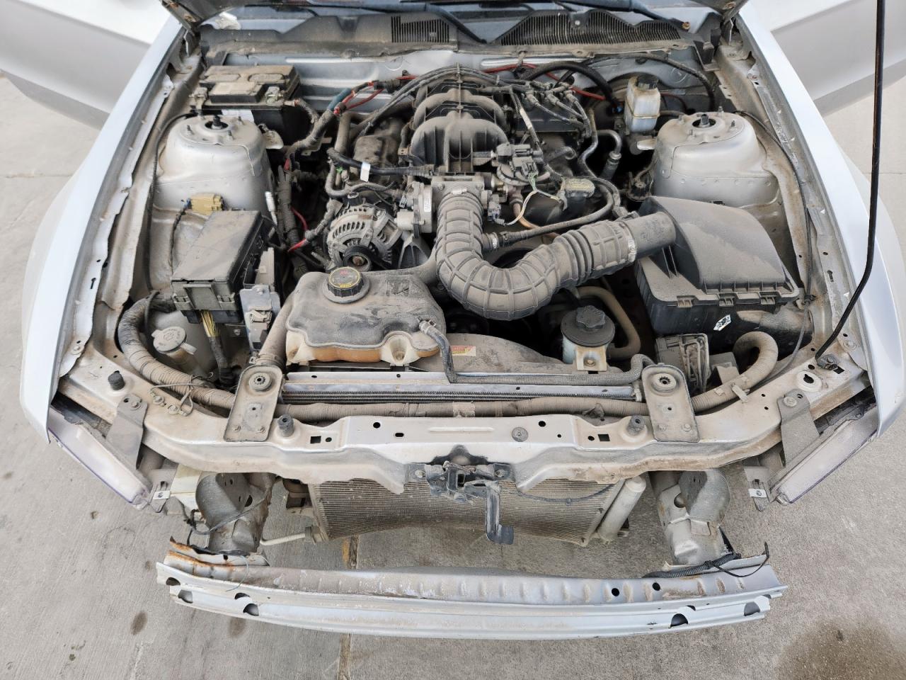 2010 Ford Mustang VIN: 1ZVBP8AN0A5102557 Lot: 63242505