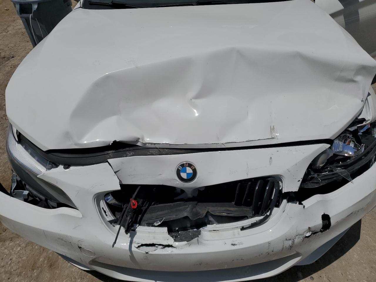 2016 BMW 228 I Sulev VIN: WBA1F9C50GV545902 Lot: 63520285