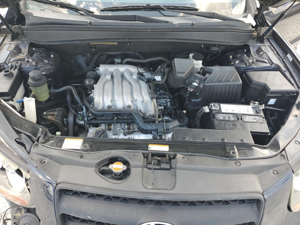 5NMSG13D59H291262 2009 Hyundai Santa Fe Gls