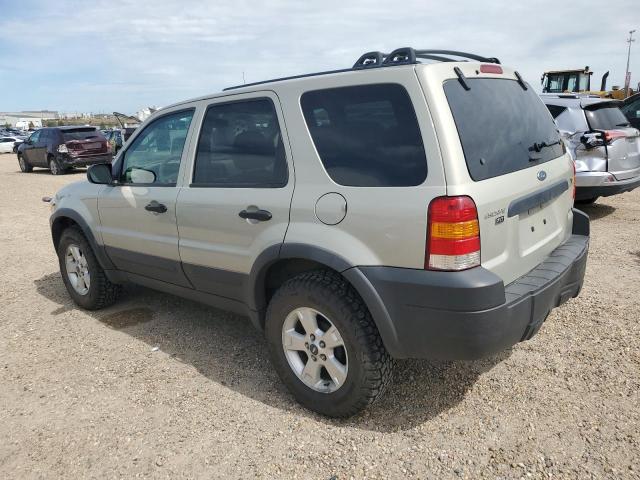 2005 FORD ESCAPE XLT  