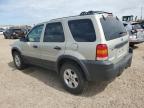 2005 FORD ESCAPE XLT   for sale at Copart AB - EDMONTON