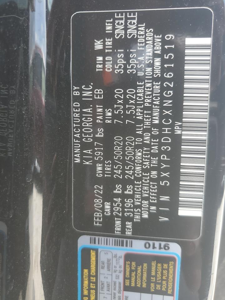 2022 Kia Telluride Ex VIN: 5XYP3DHCXNG261519 Lot: 64116335
