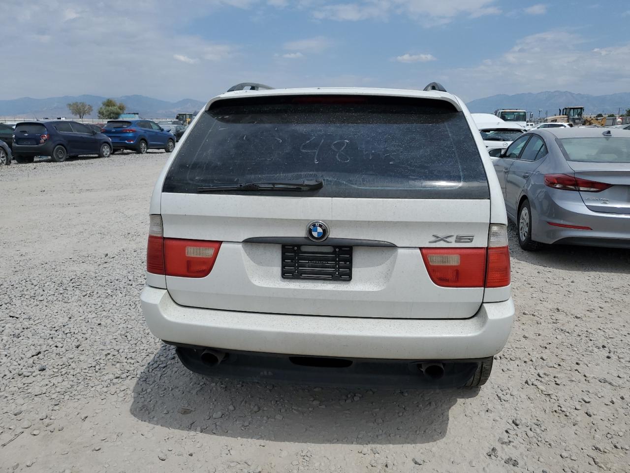2003 BMW X5 3.0I VIN: 5UXFA53573LV89898 Lot: 64896465
