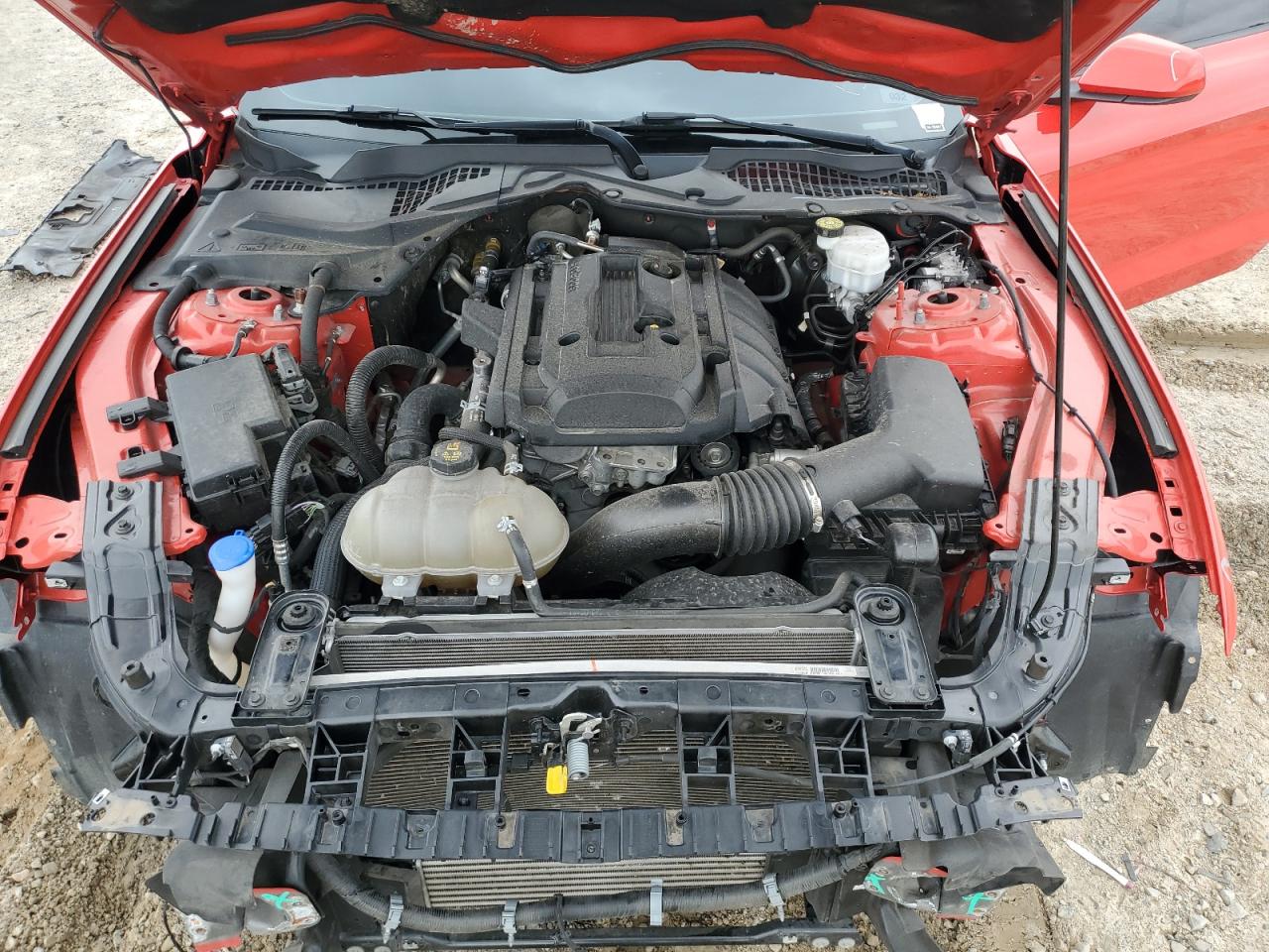 2020 Ford Mustang VIN: 1FA6P8TH3L5172221 Lot: 64846405
