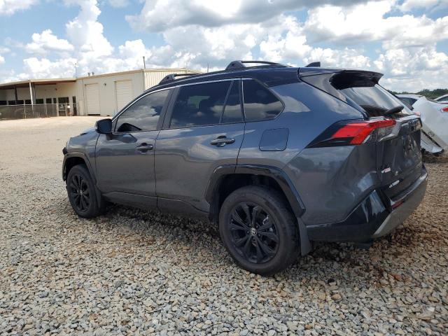  TOYOTA RAV4 2024 Серый