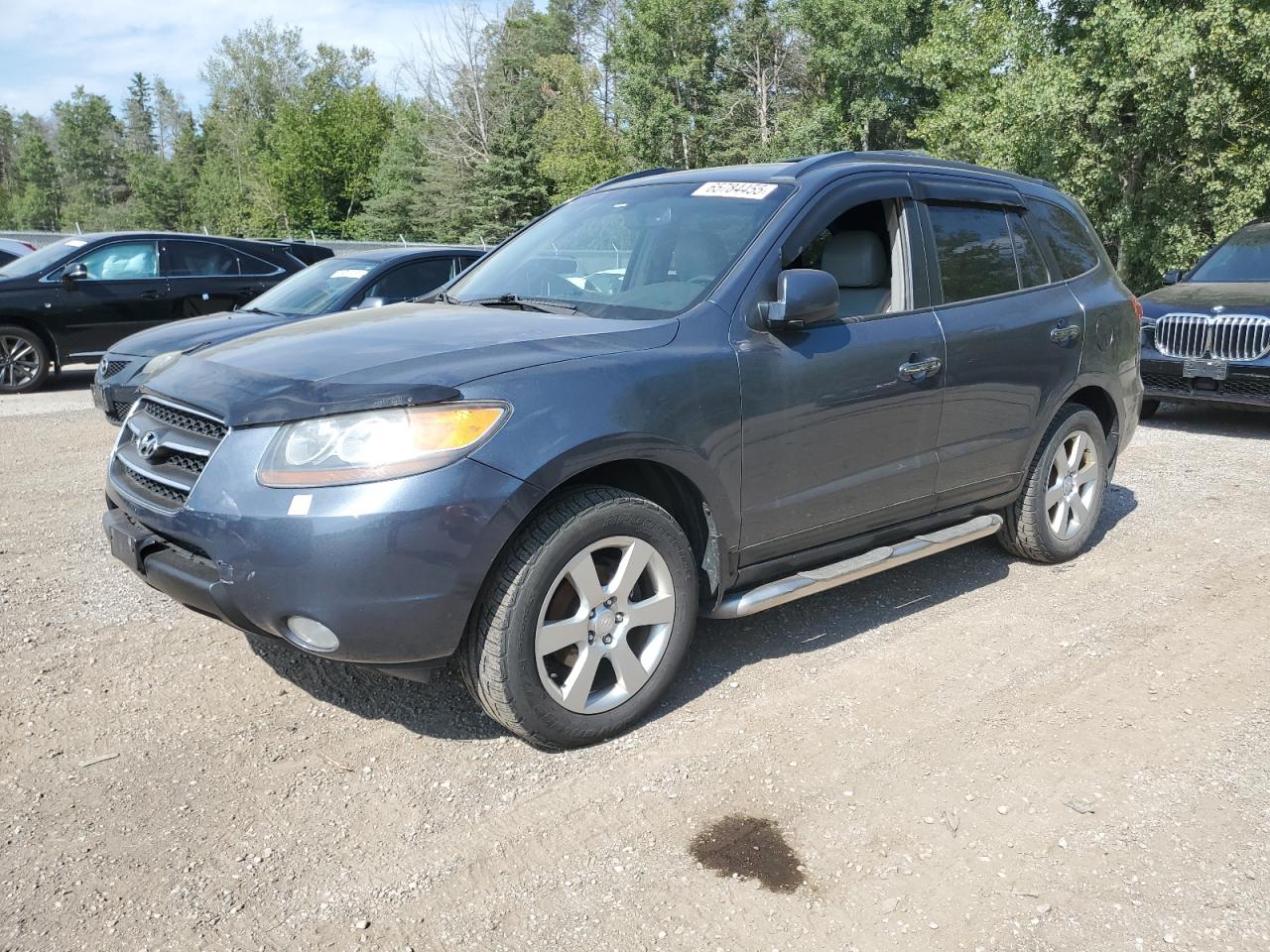 2007 Hyundai Santa Fe Se VIN: 5NMSH73EX7H125728 Lot: 65784455