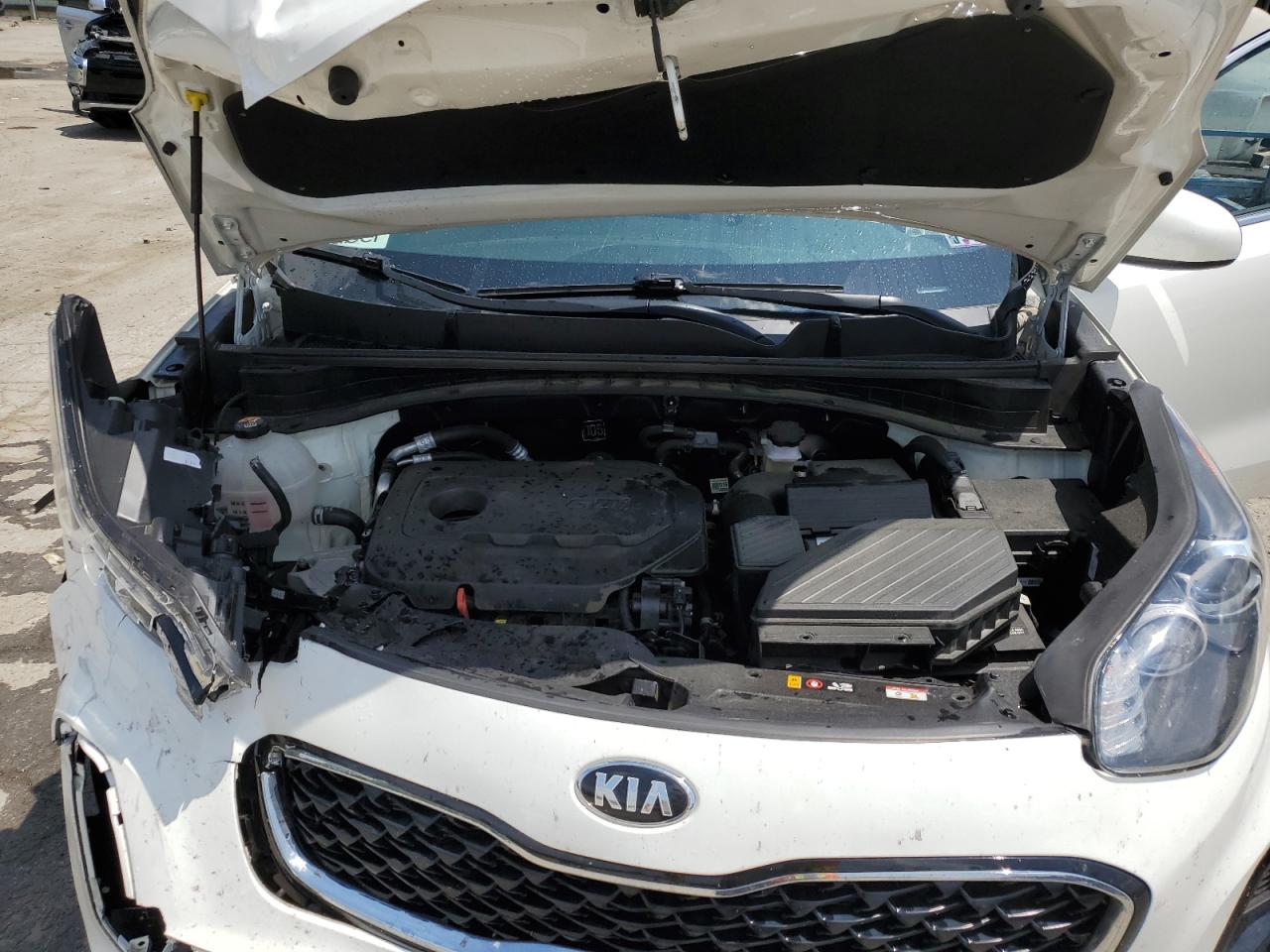 2022 Kia Sportage Lx VIN: KNDPM3AC5N7006887 Lot: 64458975