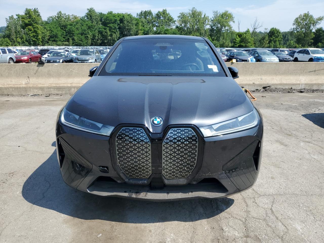 2023 BMW Ix xDrive50 VIN: WB523CF09PCM88006 Lot: 65725445