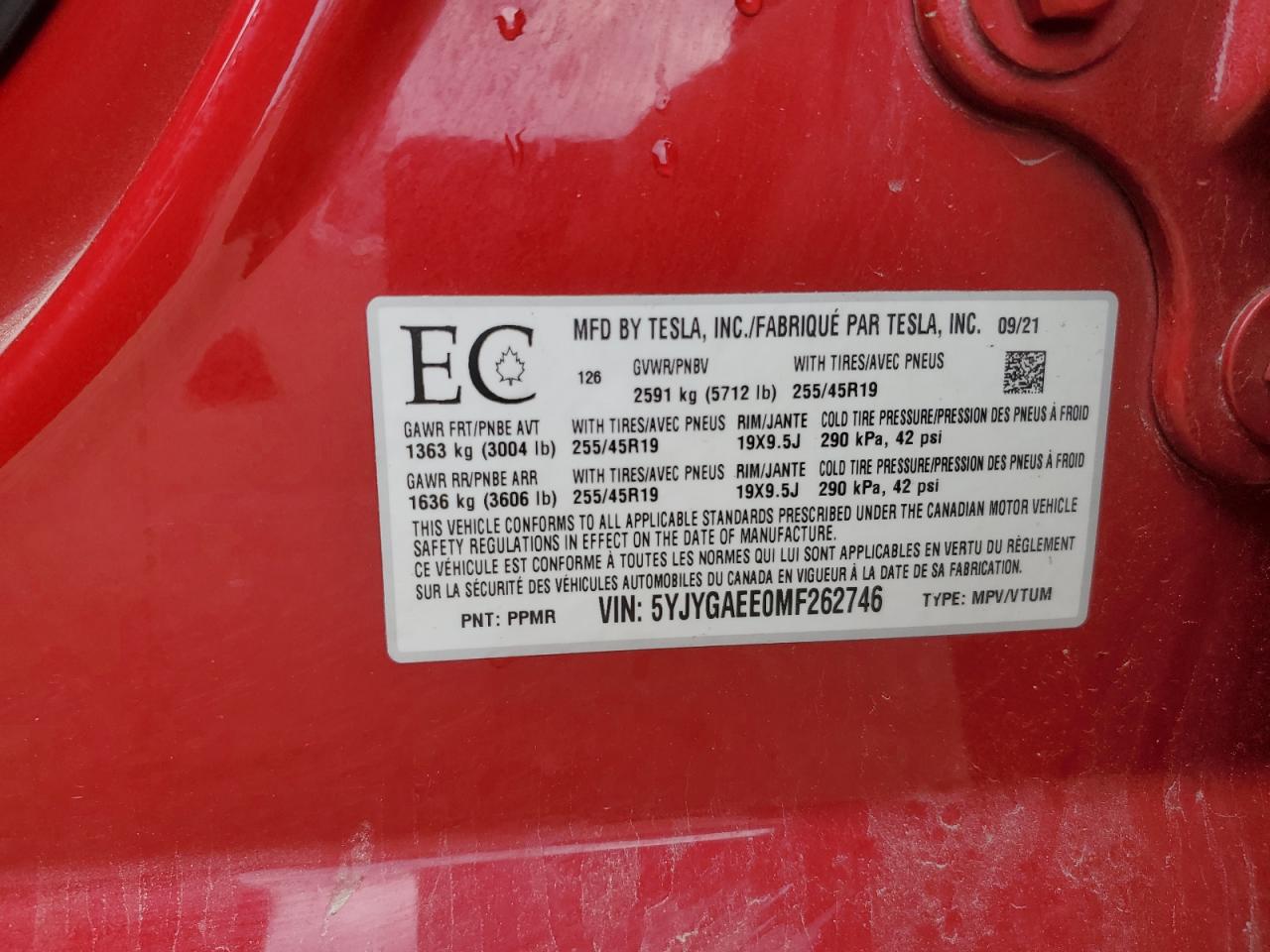 2021 Tesla Model Y VIN: 5YJYGAEE0MF262746 Lot: 60974025