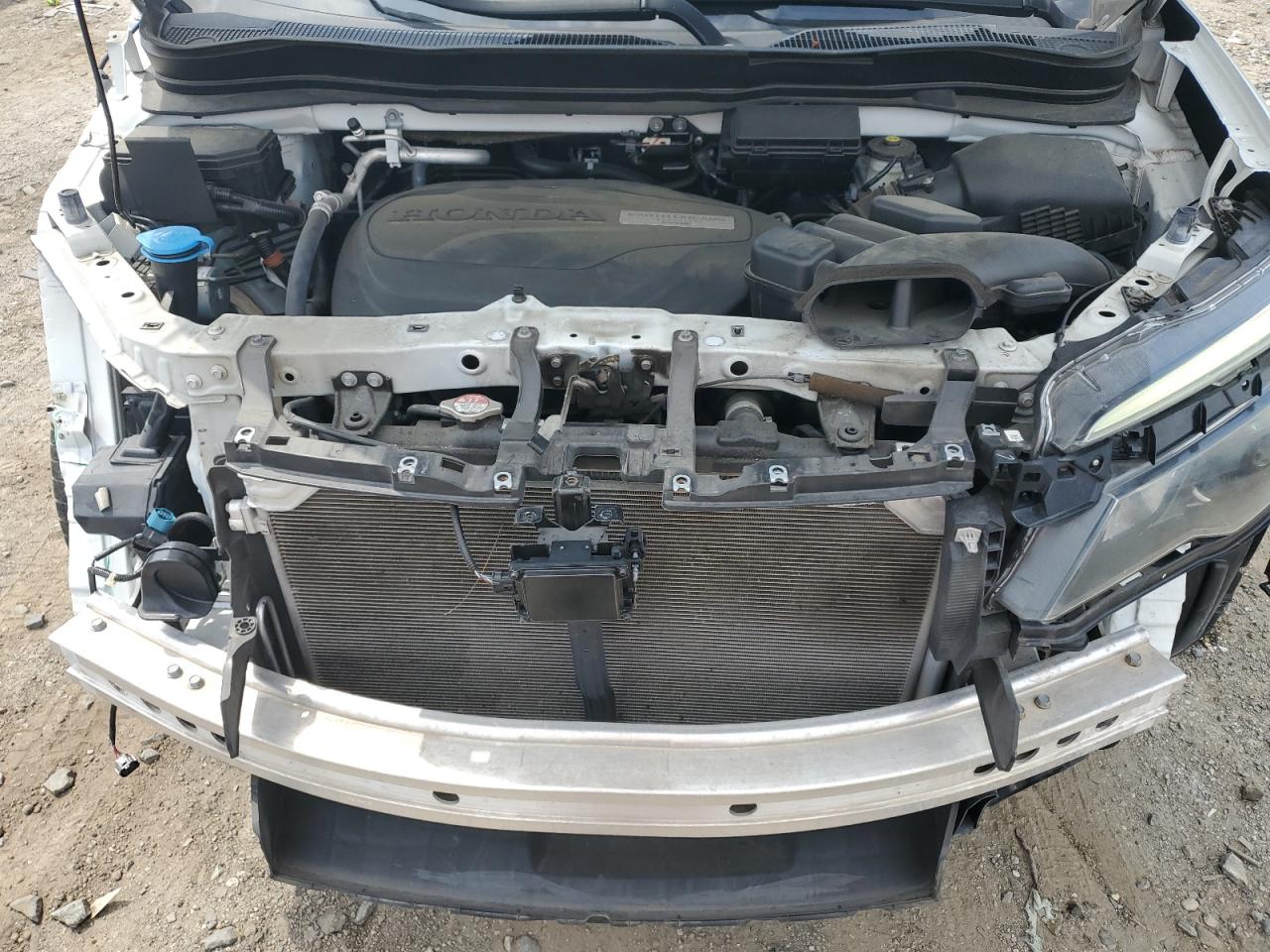 2019 Honda Passport Exl VIN: 5FNYF7H5XKB011246 Lot: 64732245