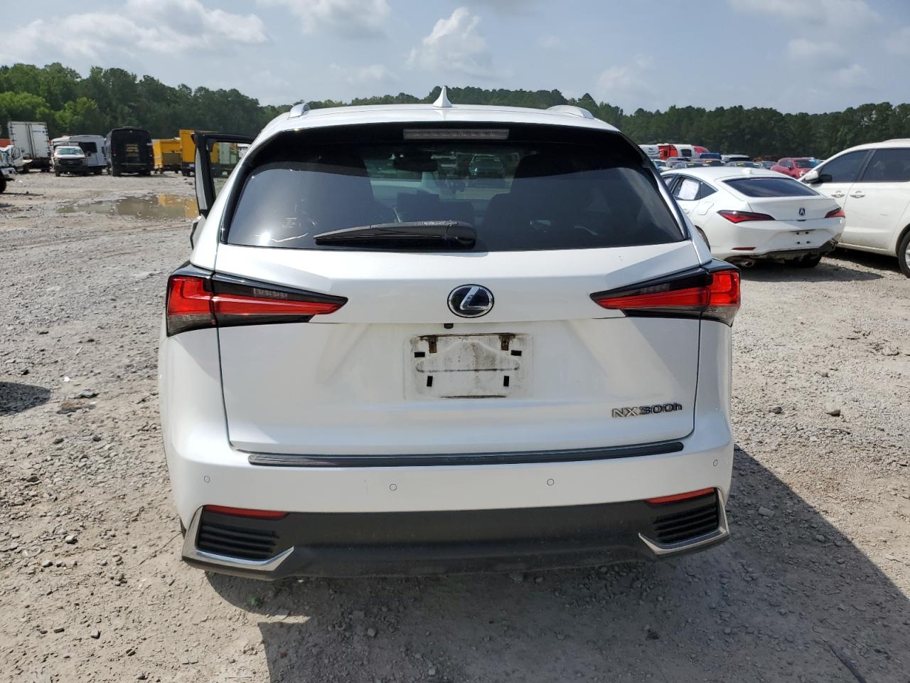 2018 Lexus Nx 300H VIN: JTJBJRBZ7J2094645 Lot: 62607065
