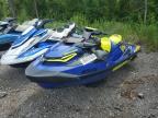 2020 SEADOO WAKE PRO ROTAX à vendre chez Copart ON - COOKSTOWN