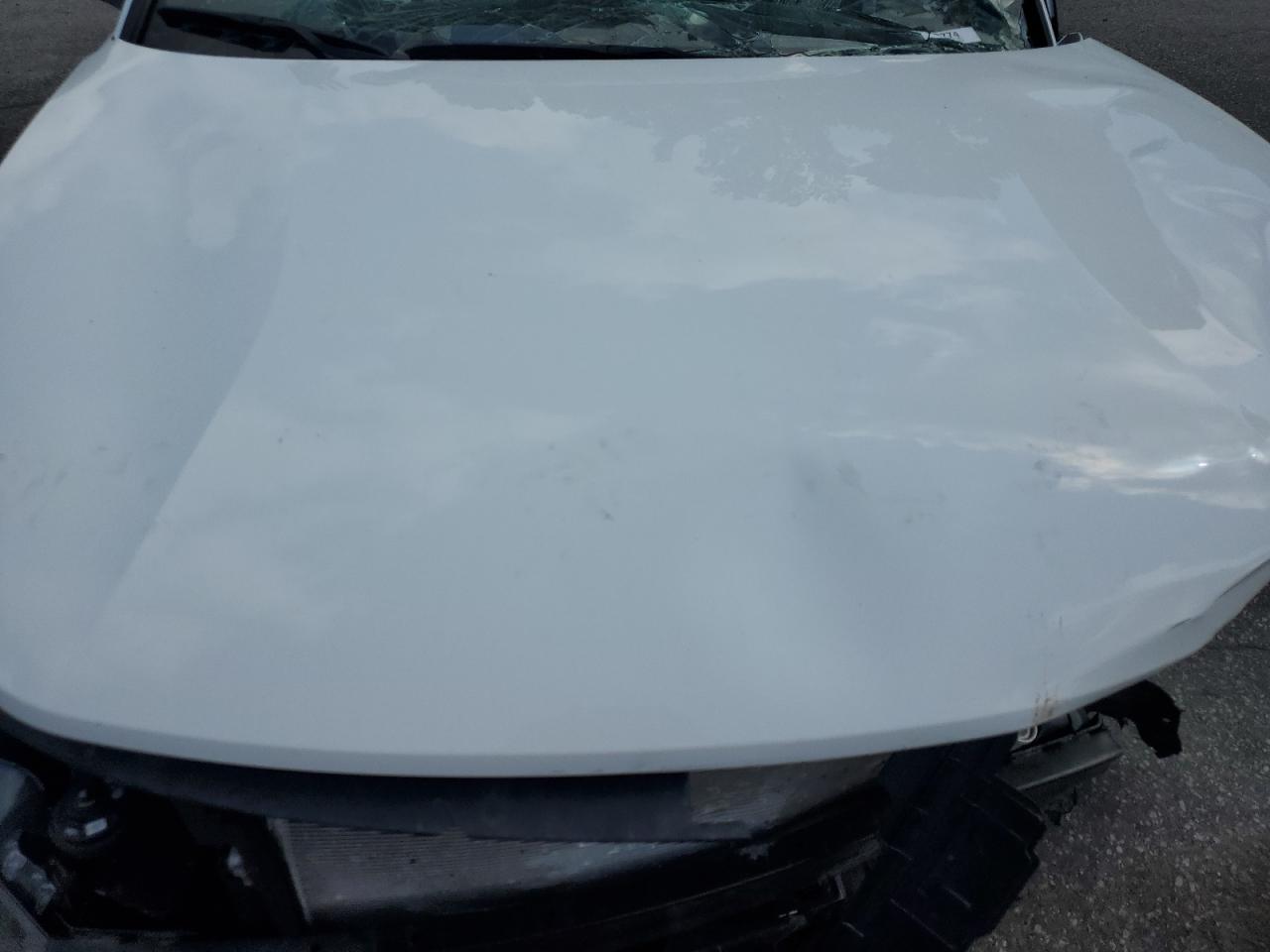 2024 Hyundai Santa Cruz Sel VIN: 5NTJCDDE0RH117555 Lot: 63764945