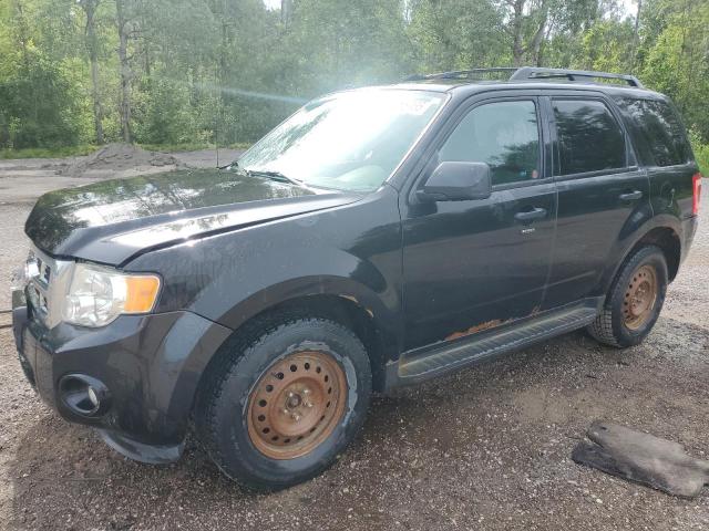 2011 FORD ESCAPE XLT   for sale at Copart ON - COOKSTOWN