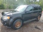 2011 FORD ESCAPE XLT   for sale at Copart ON - COOKSTOWN