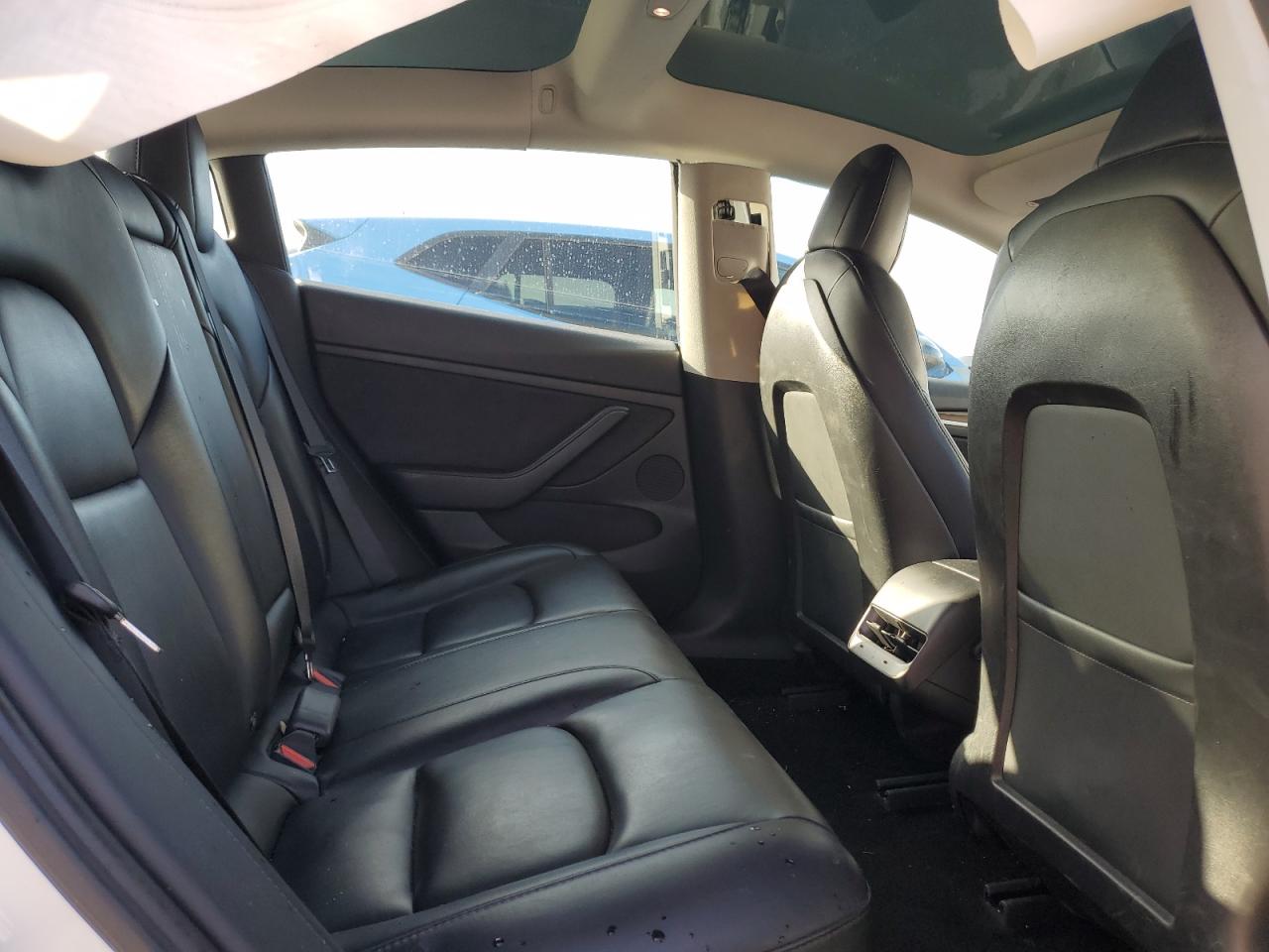 2021 Tesla Model 3 VIN: 5YJ3E1EA8MF053803 Lot: 66449765