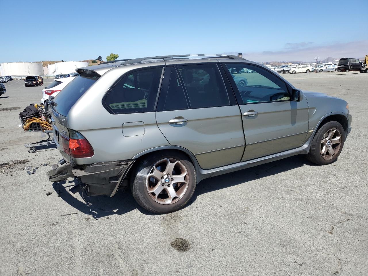 2005 BMW X5 3.0I VIN: 5UXFA13595LY23664 Lot: 65581835