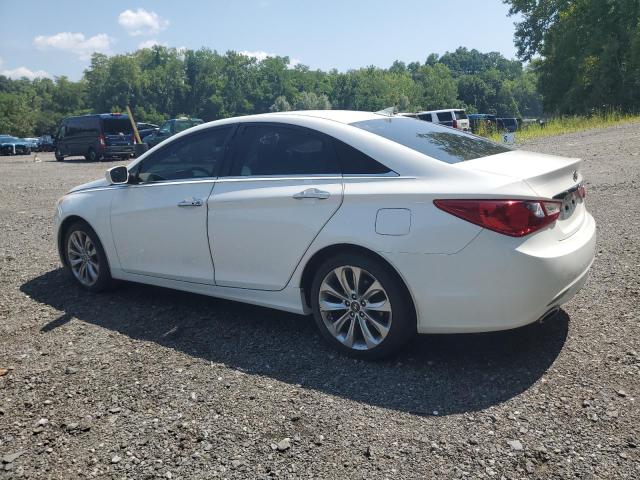  HYUNDAI SONATA 2013 Biały