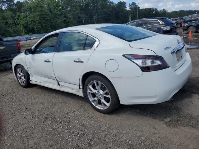  NISSAN MAXIMA 2012 White