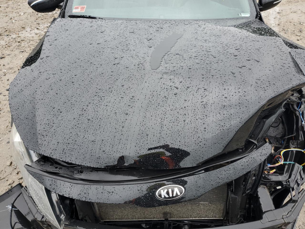 2013 Kia Optima Ex VIN: 5XXGN4A73DG134203 Lot: 64070715