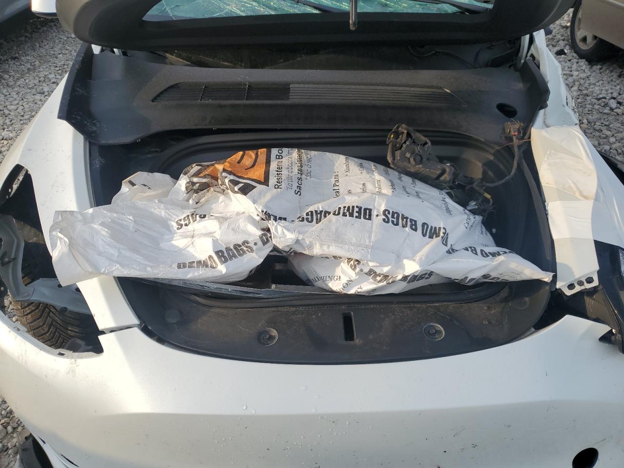 2020 Tesla Model Y VIN: 5YJYGDEE7LF049972 Lot: 66141075