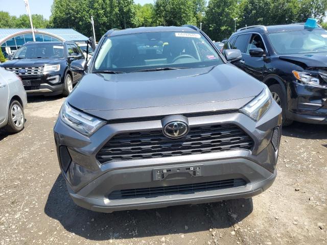  TOYOTA RAV4 2024 Gray
