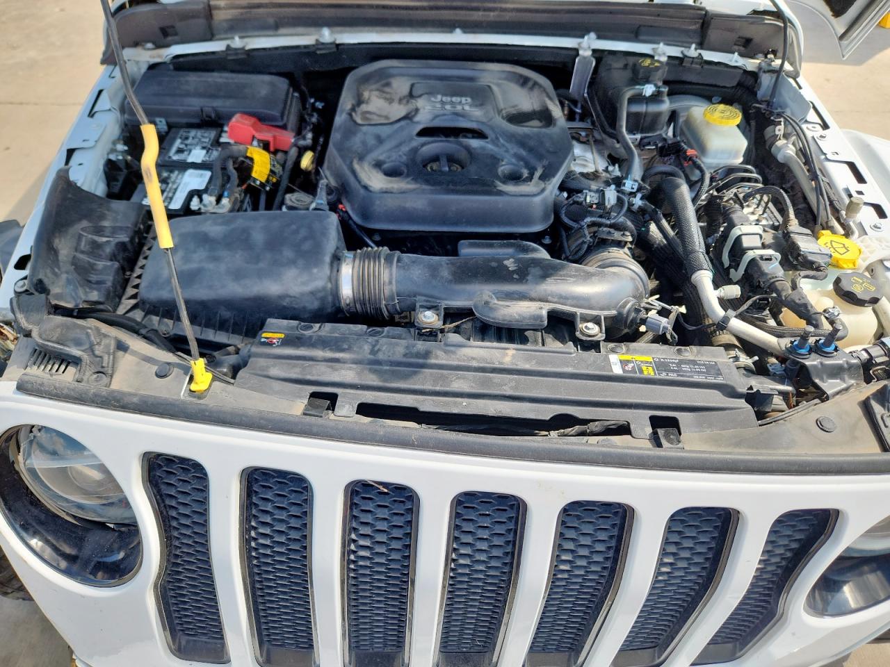 2021 Jeep Wrangler Unlimited Sahara VIN: 1C4HJXENXMW509657 Lot: 64983465