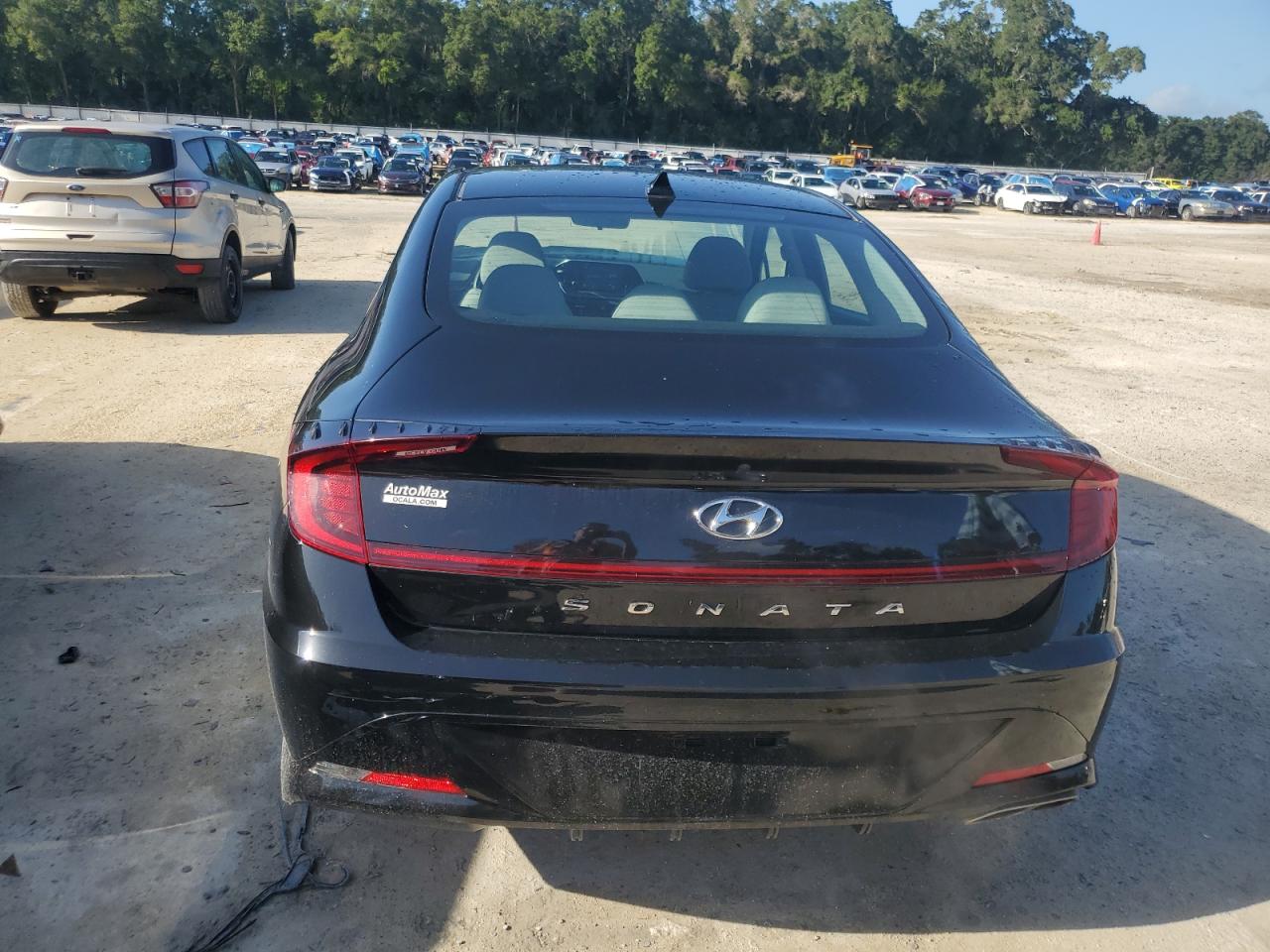 2020 Hyundai Sonata Sel VIN: 5NPEL4JA9LH056084 Lot: 64655875
